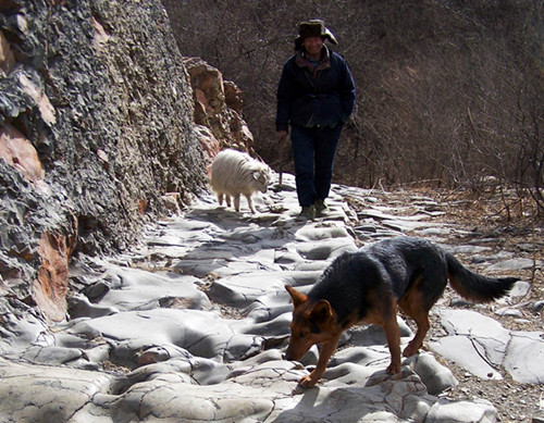 ͷе챱ɽῪɽŵ߹Ȳ̳