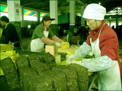 雅安地震之前 优雅而宁静的旅游胜地