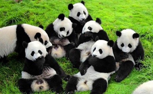 雅安地震之前 优雅而宁静的旅游胜地