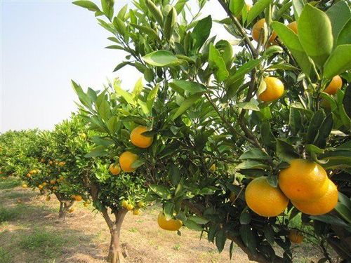 人山人海受够了!魔都周边人少超赞的旅游地