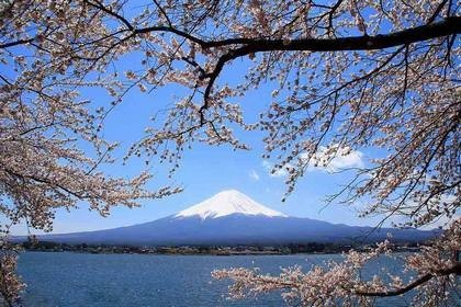 盘点2012年旅游业十大最热门话题