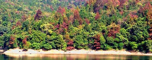 ���ݳ��ݽ�̳����Ȼ��Դ