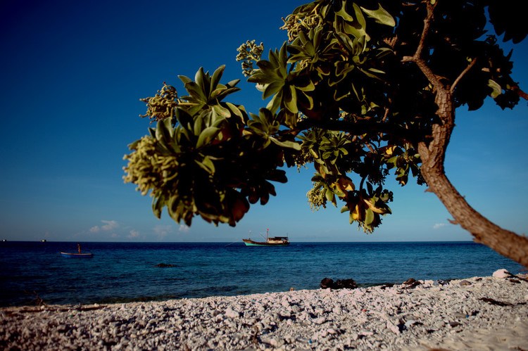 触摸西沙群岛 让人癫狂的瑰丽梦乡