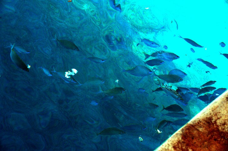 触摸西沙群岛 让人癫狂的瑰丽梦乡