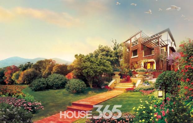 365Ϸ2013괺ڼεزƼ