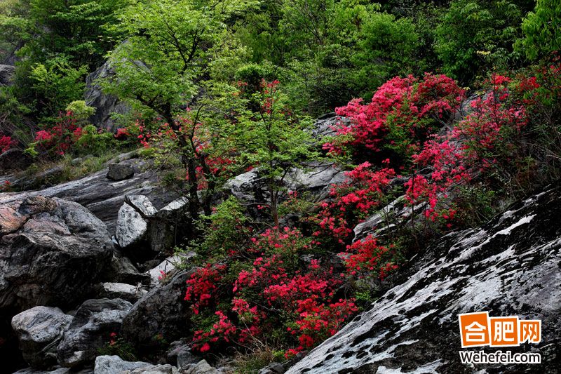 春景妖冶四月天“迷失”燕子河大峡谷