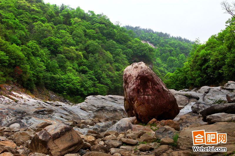 ӺӴϿȵġʯΪʲôʺѪ?