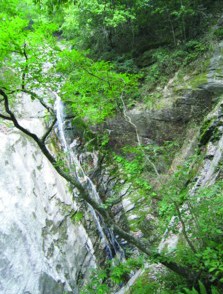 燕子河大峡谷中燕尾瀑是被“切割”成的?