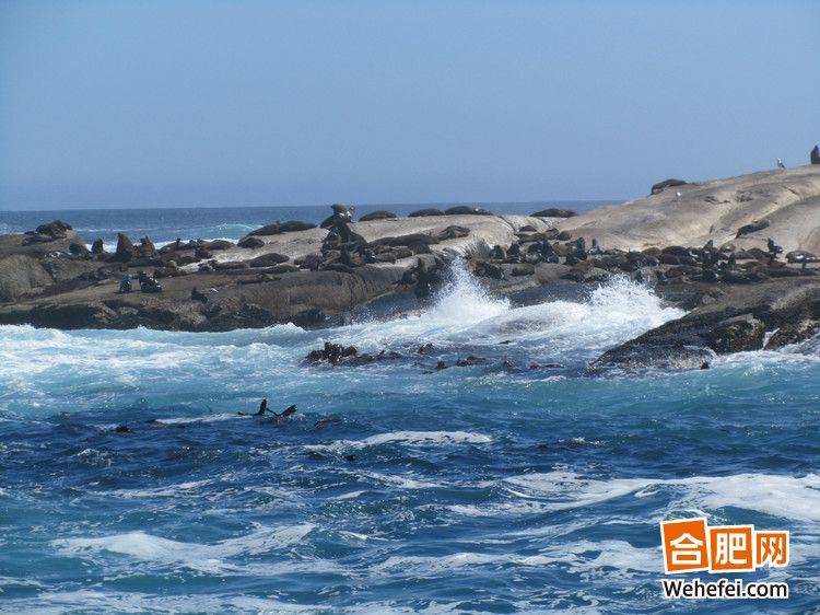 ���Ҳ߻�������ϰ��ϯ�ĽŲ�ȥ���� ����վ�Ϸ�