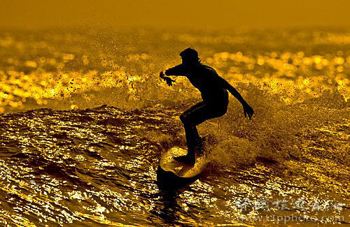 ���ϵĶ����������Ϊ���ŵĳ�������(������)