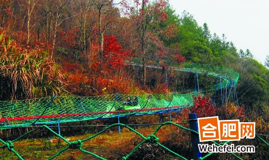 海内最长滑道“五一”正式开放 燕子河大峡谷再添“硬动力”