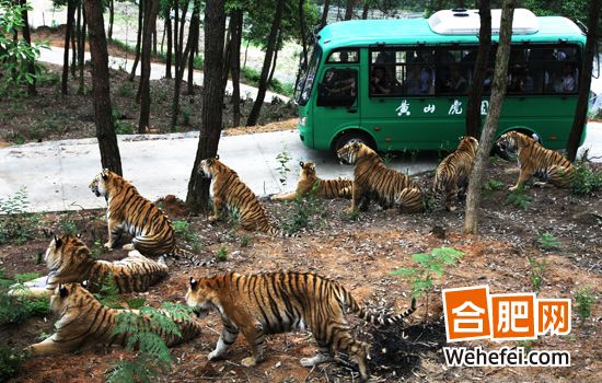 5��19���ջ�����û�ɽ���й������ջ