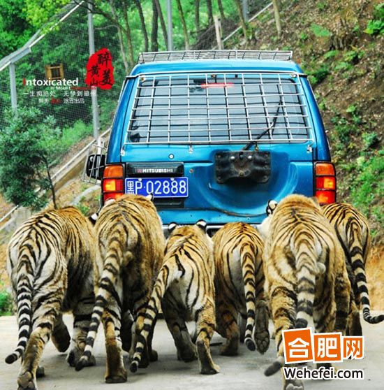 5��19���ջ�����û�ɽ���й������ջ